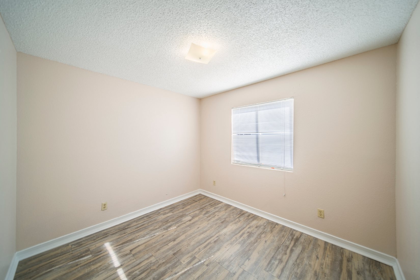 Gallery Photo 25